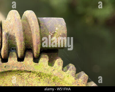 Le grand couvert de lichens et de vis sur le CMV un ancien moulin à eau vanne montrant les toiles d'araignées contre un arrière-plan flou. Banque D'Images