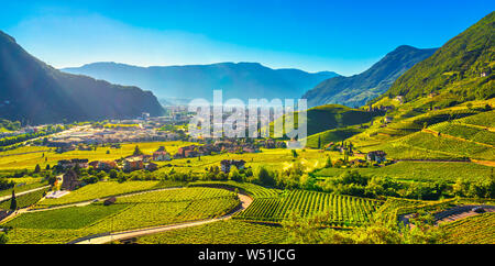 Vignes voir à Santa Maddalena Bolzano Droopweg 21. Trentin-haut-Adige Sud Tyrol, l'Italie, l'Europe. Banque D'Images