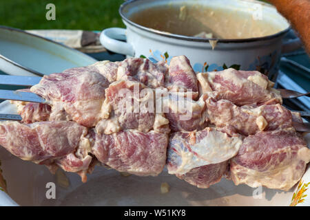 Close-up de la viande dans la marinade avec les oignons et la mayonnaise en brochettes pour la cuisson des brochettes sur une assiette. Pique-nique et de la nourriture dans la nature et à l'extérieur. Banque D'Images