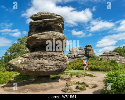 Pierre meulière Rock idole rock formation à Brimham Rocks near Summerbridge Nidderdale North Yorkshire Angleterre Banque D'Images