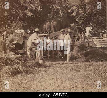 Le battage du grain., Edward et Henry T. Anthony & Cie (American, 1862 - 1902), à propos de 1869-1880, à l'albumine argentique Banque D'Images