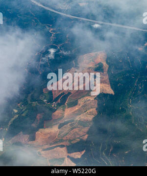 Vue aérienne de la plantation de palmiers à huile à Selangor, Malaisie Banque D'Images