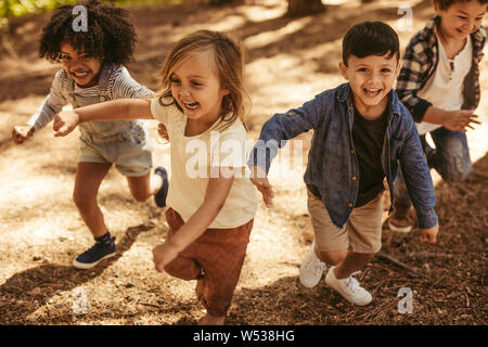 Adorable Kids running jusqu'à la colline, dans un parc. Groupe d'enfants jouant ensemble dans la forêt. Banque D'Images