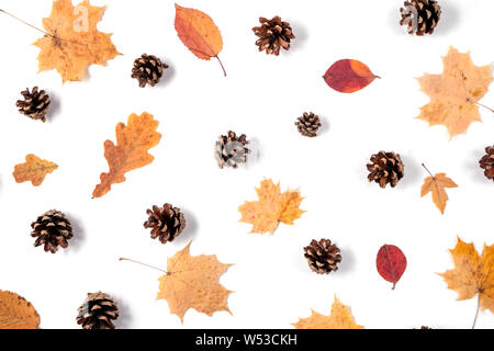 Composition d'automne. Motif de feuilles séchées, cônes sur fond blanc. L'automne et de l'action de grâce jour concept. Mise à plat, vue du dessus, copy space Banque D'Images