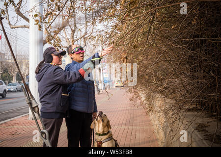 Entraîneur de chien guide chinois Wang Xin, qui a obtenu un doctorat en psychologie d'une université au Japon, demande à une personne aveugle de marcher avec la Banque D'Images