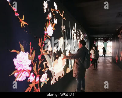 Personnes visitent l'expérience numérique immersive exposition au Palais de la pureté céleste (Qianqing gong) dans le musée du palais, également connu sous le nom de la plante Banque D'Images