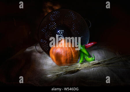 Citrouille orange, rouge et vert Chili Peppers et sec de pose sur un sac de blé enrobe sur un fond de cuvette métallique Banque D'Images