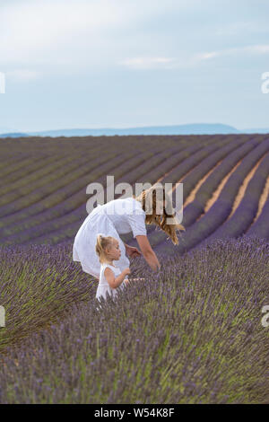 Valensole, France. Avec mère fille en champ de lavande Banque D'Images