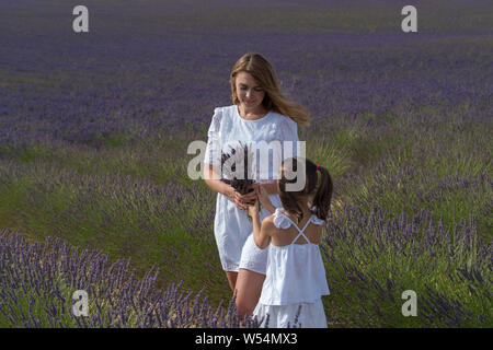 Valensole, France. Avec mère fille en champ de lavande Banque D'Images