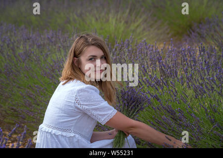 Woman posing in champ de lavande, Provence, Valensole, France Banque D'Images