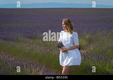 Woman posing in champ de lavande, Provence, Valensole, France Banque D'Images