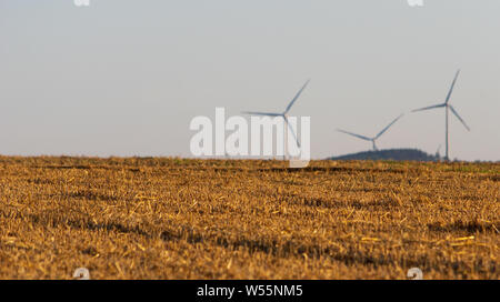 Éoliennes dans la distance avec les chaumes de blé récoltés champ en face, ciel clair Banque D'Images