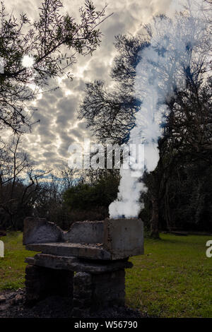 Un pique-nique dans une journée d'automne avec un feu allumé à l'extérieur pour faire un asado (barbecue argentin) dans une belle scène dans le parc Banque D'Images