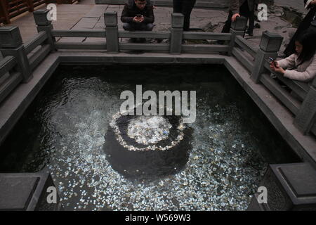 Les touristes jettent des pièces de monnaie pour la piscine du printemps à l'Baotu Spring Park à Jinan City, Shandong province de Chine orientale, le 26 février 2019. Le Baotu Spring i Banque D'Images