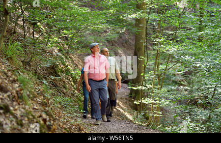 Eisenach, Allemagne. 26 juillet, 2019. Bodo Ramelow (l, Die Linke), premier ministre de la Thuringe, et Steffen Müller (r), chef de bureau de l'office forestier Marksuhl, randonnée à travers la gorge de Landgrafenschlucht au 'bien'. Ramelow sur plusieurs jours de la tournée d'été a la devise '# Avenir Thuringe - découvertes touristiques, trésors culturels'. Crédit : Martin Schutt/dpa-Zentralbild/dpa/Alamy Live News Banque D'Images