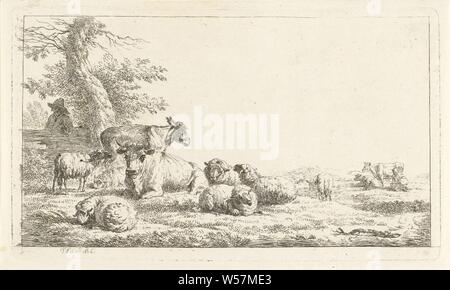 Shepherd à au troupeau d'animaux le berger derrière la clôture, derrière une clôture, un homme regarde l'âne, les vaches et les moutons dans le pré. Dans l'arrière-plan une femme est une vache à traire, bovins, Frédéric Théodore Faber (mentionné sur l'objet), Bruxelles, 1806, papier, gravure, h 123 mm × W 210 mm Banque D'Images