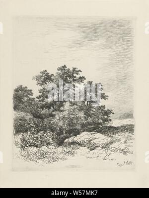 Paysage avec des arbres, arbres, Remigius Adrianus Haanen (mentionné sur l'objet), l'Autriche, 1859, papier, gravure, h 250 mm × W 200 mm Banque D'Images