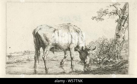 Bull potable, dans un paysage un taureau est debout par un arbre de boire d'un étang, où il se tient à ses chevilles. Dans l'arrière-plan deux vaches de pâturage, vache, Ange Jan (II), 1788 - 1814, le papier, gravure, h 89 mm × W 153 mm Banque D'Images