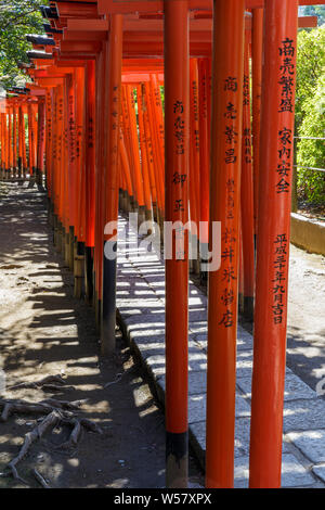 Torii gates au Sanctuaire Nezu dans quartier Bunkyo, Tokyo, Japon. Banque D'Images