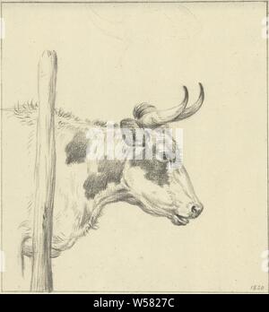 Tête d'une vache, à droite, la vache, Jean Bernard, 1820, papier, craie, h 204 mm × W 188 mm Banque D'Images