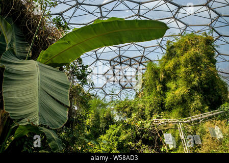 Eden Project dômes à effet de biomes St Austell Cornwall Banque D'Images