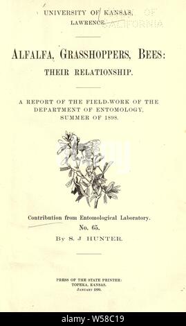 La luzerne, les sauterelles, les abeilles : leur relation. Un rapport du Champ-travail du Département d'entomologie, été 1898 ..  : Hunter, John Samuel, 1866 Banque D'Images