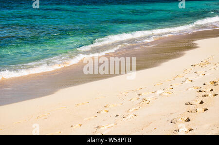 Plage idyllique dans The Island, en Haïti. Tropical sauvage exotique Plage avec sable blanc et eau turquoise Banque D'Images