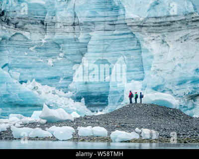 Les randonneurs en face du glacier Lamplugh, et la Réserve de parc national Glacier Bay, Alaska, USA. Banque D'Images