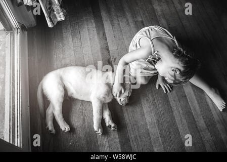 Sleeping Labrador jaune lab puppy étant animal par little girl Banque D'Images