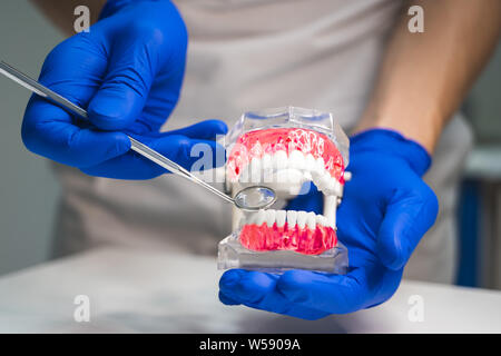 Le port de gants médicaux dentiste holding jaw modèle dans une main et dans un autre miroir médical dans une clinique dentaire Banque D'Images