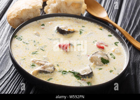 Crémeuse copieux de la soupe de poisson avec l'anguille, légumes et herbes close-up dans un bol sur la table horizontale. Banque D'Images