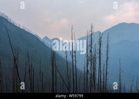 La fumée des incendies de forêt dans les montagnes du Parc National de Kootenay en Colombie-Britannique, Canada Banque D'Images