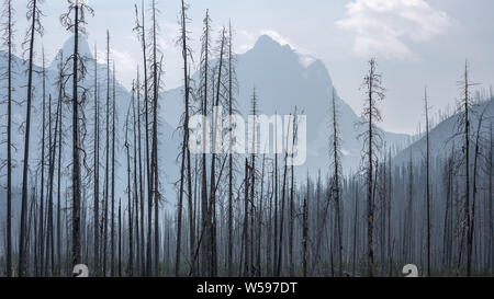 La fumée des incendies de forêt dans les montagnes du Parc National de Kootenay en Colombie-Britannique, Canada Banque D'Images