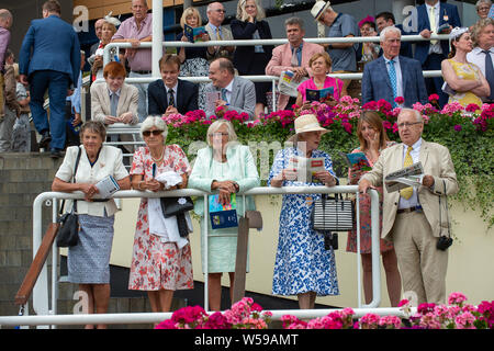L'hippodrome d'Ascot, Ascot, UK. 26 juillet, 2019. Racegoers regarder les chevaux dans l'anneau de parade. Credit : Maureen McLean/Alamy Banque D'Images