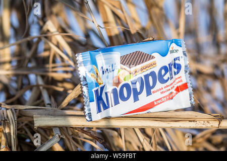 Lodz, Pologne, janvier 2017 : Knoppers sandwich waffle rempli de crème de lait et de nougat. Produit par August Storck KG, depuis 1983 Banque D'Images