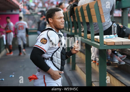 Anaheim, Californie, USA. 25 juillet 2019 : Baltimore Orioles catcher Pedro Severino (28) danse dans l'abri avant le match entre les Orioles de Baltimore et les Los Angeles Angels of Anaheim au Angel Stadium à Anaheim, CA, (photo de Peter Renner and Co, Cal Sport Media) Credit : Cal Sport Media/Alamy Live News Banque D'Images