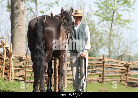 Un homme et son cheval Banque D'Images