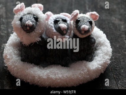 Trois souris mignon en blanc stand panier sur fond de bois noir, laine tricot petit rat à partir de fils dans le temps libre de l'artisanat Banque D'Images