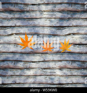 Les feuilles éparpillées sur la table en bois, rendu 3d. Dessin numérique de l'ordinateur. Banque D'Images