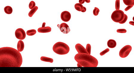 Biologie Sciences biologiques ou des sciences en tant que concept biologique Banque D'Images