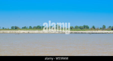 Champs de blé vert sur la banque du fleuve Indus Punjab,le Pakistan,touchés par l'érosion des berges de la rivière Banque D'Images