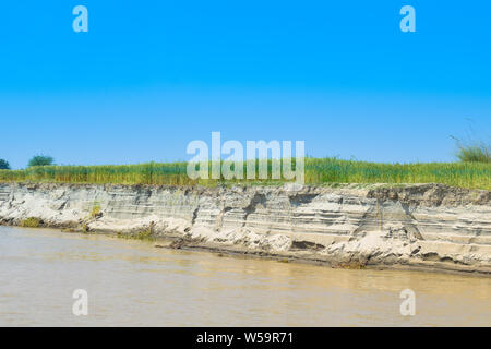 Champs de blé vert sur la banque du fleuve Indus Punjab,le Pakistan,touchés par l'érosion des berges de la rivière Banque D'Images