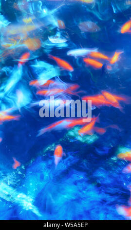 Poissons nageant contre orange blue abstract background Banque D'Images