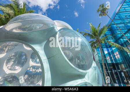 Oeil de mouche DOME (©Buckminster Fuller INST 2014) PALM COURT (©SB ARCHITECTS 2018) MIAMI DESIGN DISTRICT MIAMI FLORIDA USA Banque D'Images