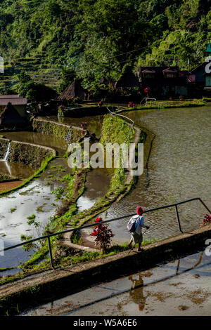 Bangaan Village près de Banaue, Luzon, Philippines Banque D'Images