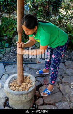 Une femme battre le riz, Bangaan Village près de Banaue, Luzon, Philippines Banque D'Images