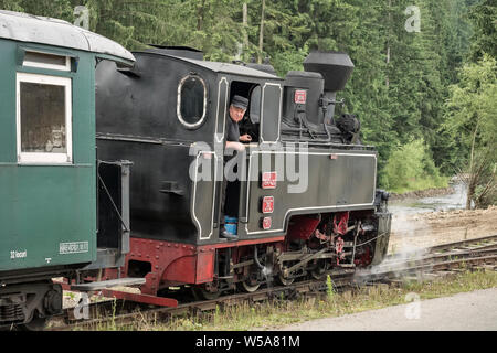 Moldoviţa, la Bucovine du Nord, Roumanie - un train à vapeur à voie étroite ou ocăniță "train" (petit berger). Le moteur est de bois. Banque D'Images