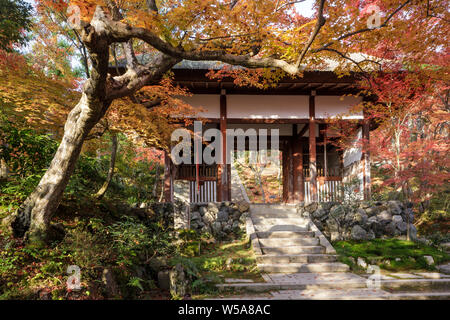 Automne couleur dans Jojakko-ji dans de Arashiyama, Kyoto, Japon. Banque D'Images