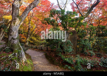 Automne couleur dans Jojakko-ji dans de Arashiyama, Kyoto, Japon. Banque D'Images