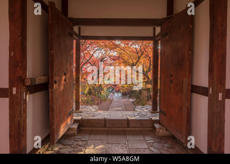Automne couleur dans Jojakko-ji dans de Arashiyama, Kyoto, Japon. Banque D'Images